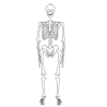 tH[|X^[